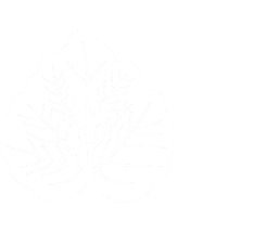 Озеро Белое